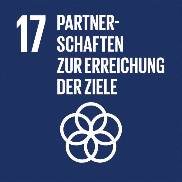 SDG number 17 fair partnerships for the goals
